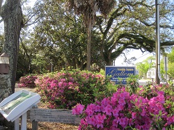 Franklin Square Park at Southport NC